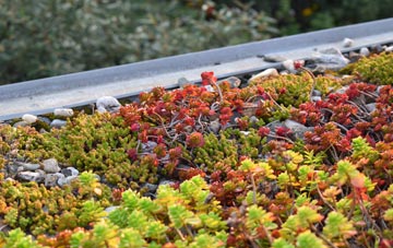 the cost of Pockthorpe green roof installation