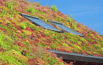 Pockthorpe living roof systems