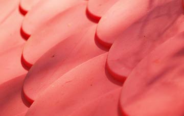 Pockthorpe plastic roof costs