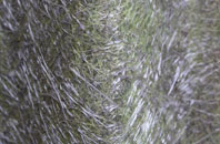 Pockthorpe fibreglass roof work