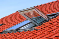 Pockthorpe roof window